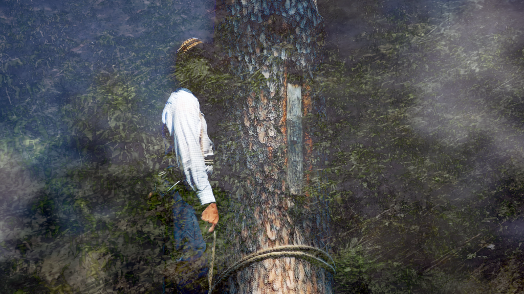 Mia Makela: MUUNALAINEN-näyttely 2.4.–15.6.